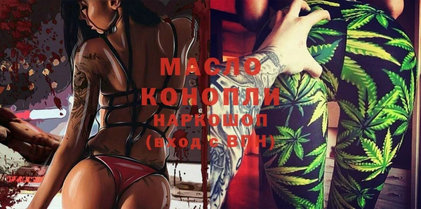 индика Абаза