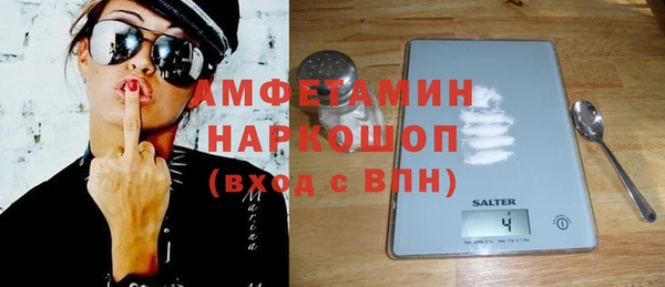 индика Абаза