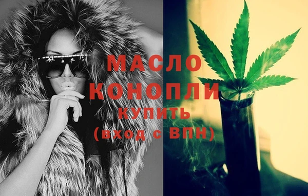 индика Абаза