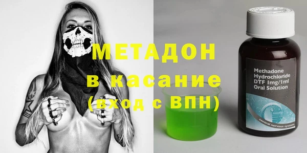 индика Абаза