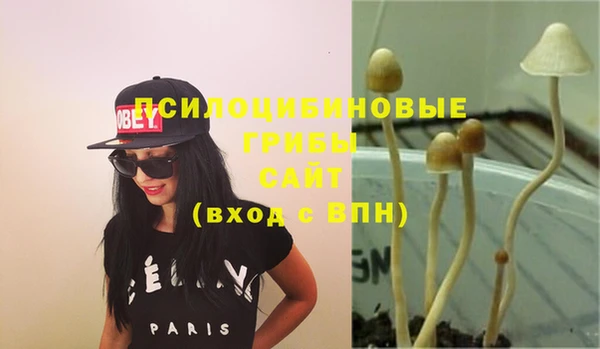 таблы Михайлов