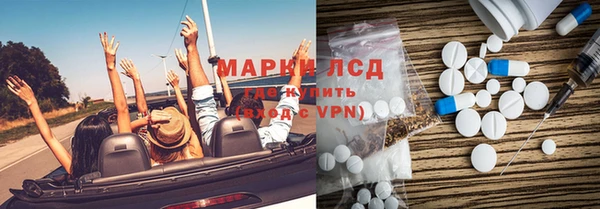 индика Михайловск