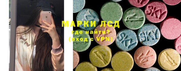 индика Михайловск