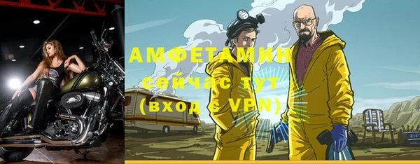 индика Абаза